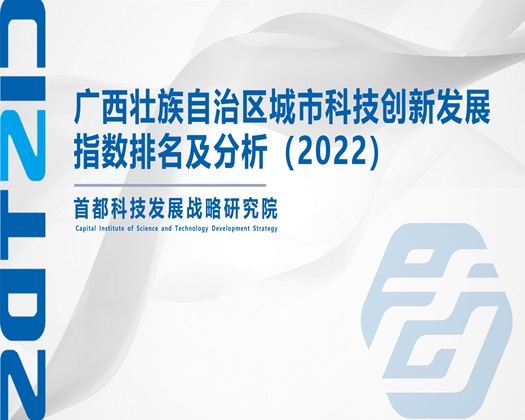 殴美性爱操大逼逼【成果发布】广西壮族自治区城市科技创新发展指数排名及分析（2022）